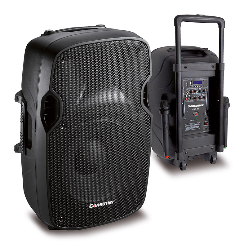 SPEAKER BOX-CONSUMER-12" CONSUMER