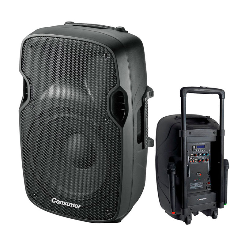 SPEAKER BOX-CONSUMER-12" consumer