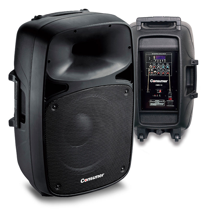 SPEAKER BOX-CONSUMER-15" CONSUMER