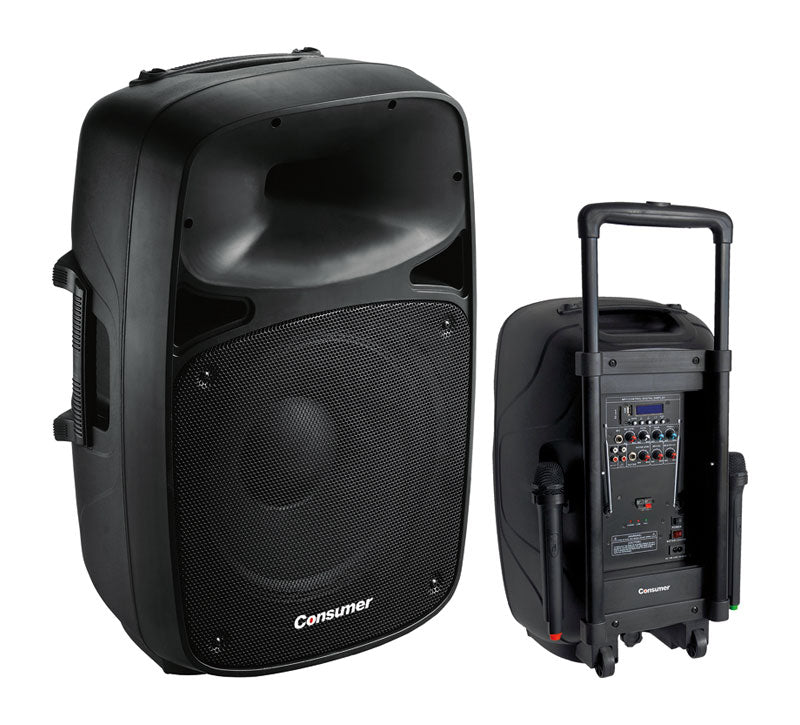 SPEAKER BOX-CONSUMER-15" consumer